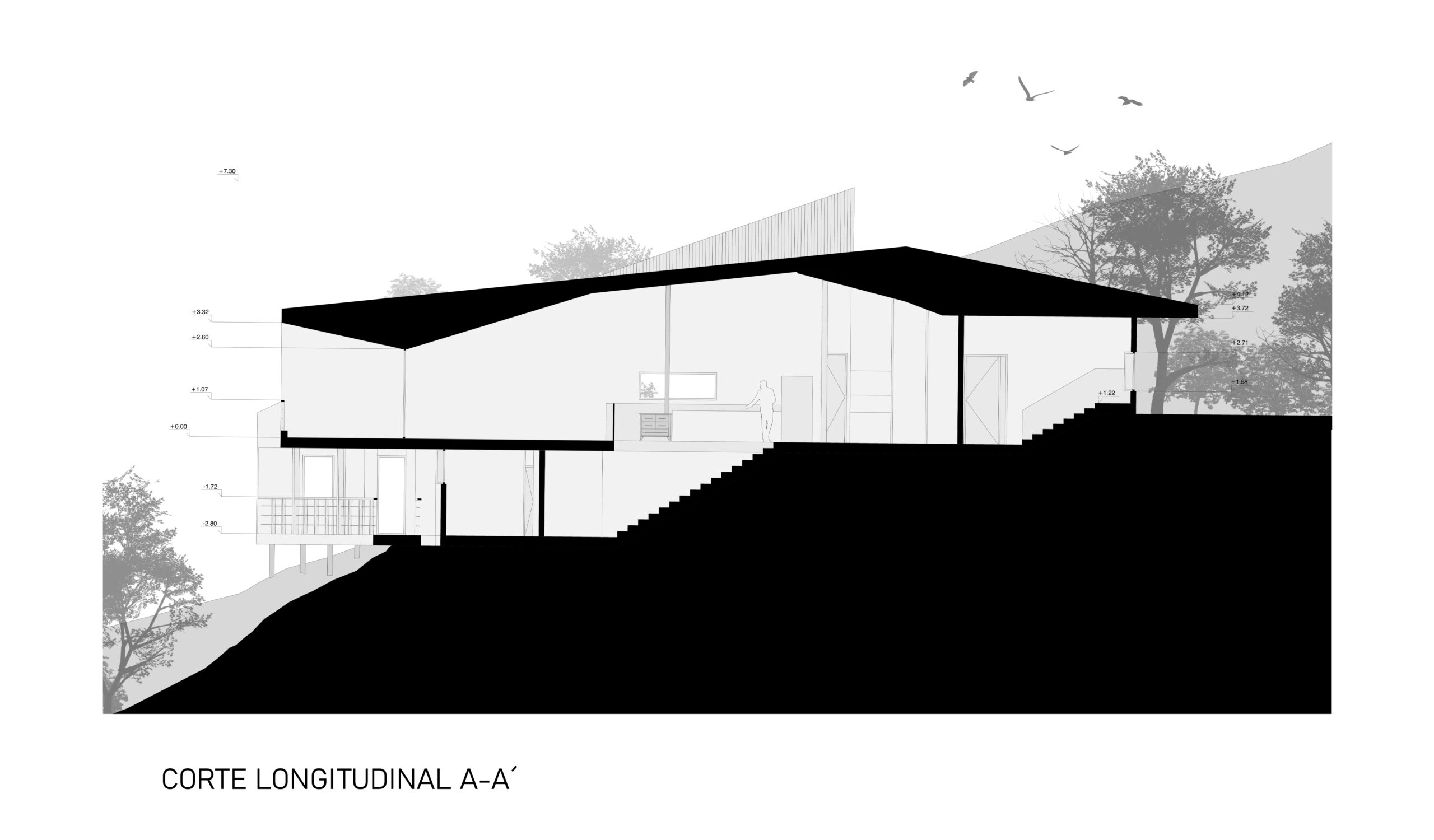 corte-longitudinal-AA-LAMINA